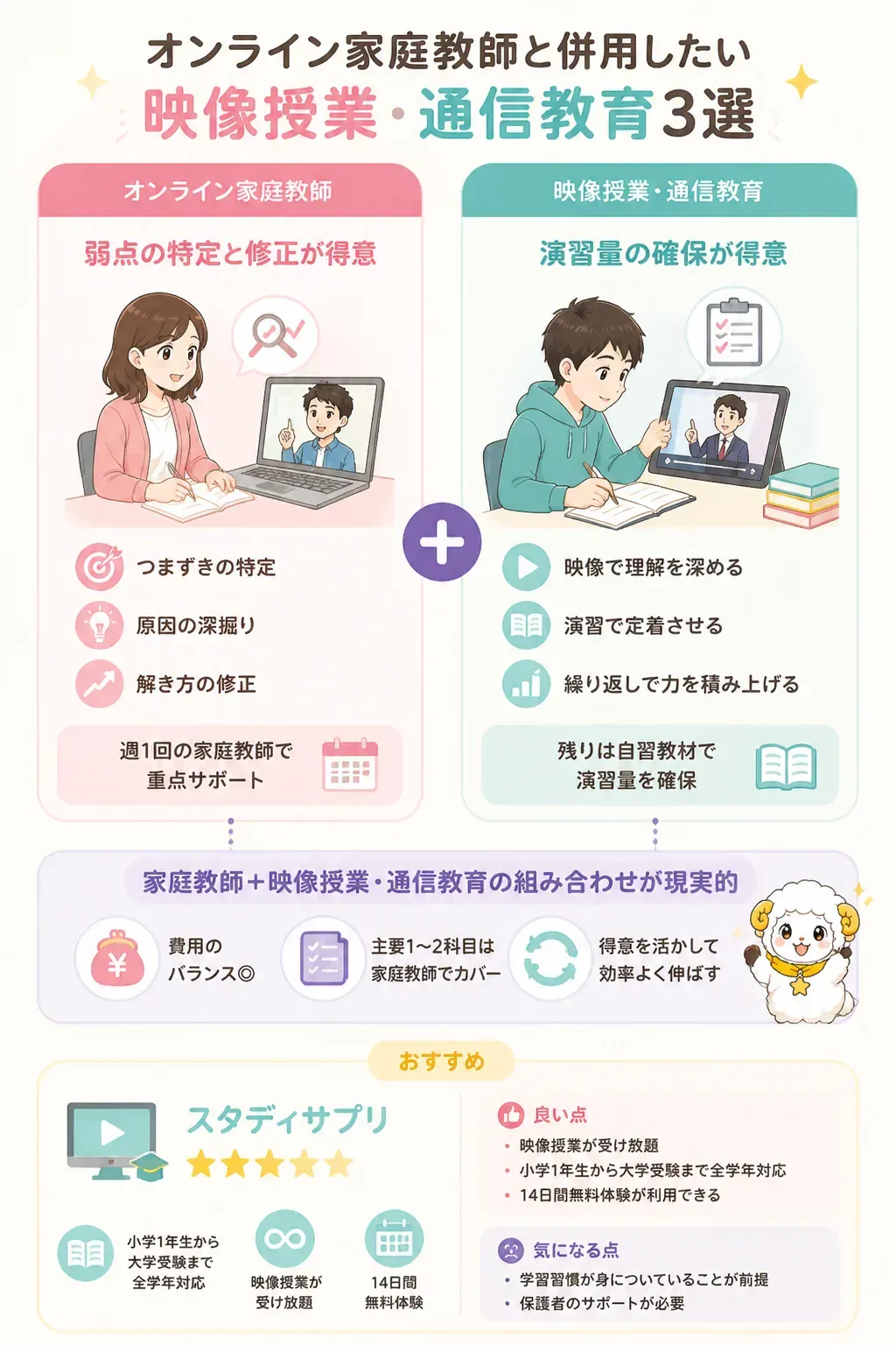 家庭教師と映像授業の役割分担を示す図解